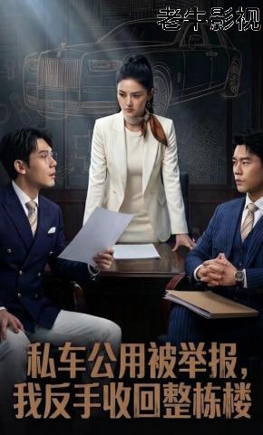 私车公用被举报，我反手收回整栋楼