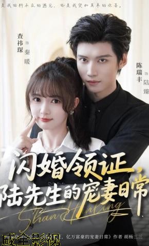 闪婚领证，陆先生的宠妻日常