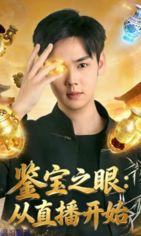 鉴宝之眼：从直播开始